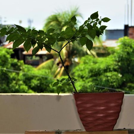 Flor Del Valle Posada タラポト エクステリア 写真