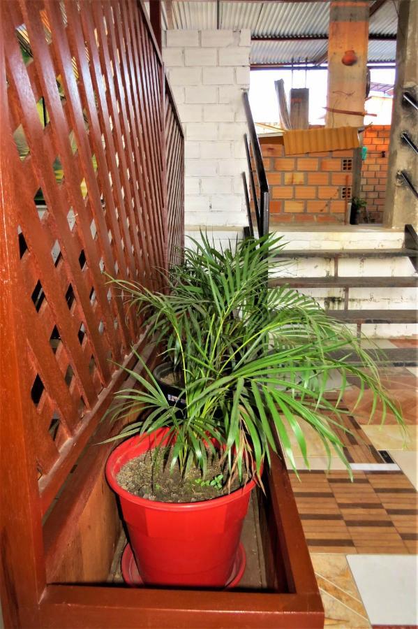 Flor Del Valle Posada タラポト エクステリア 写真