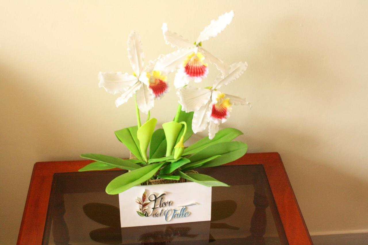Flor Del Valle Posada タラポト エクステリア 写真